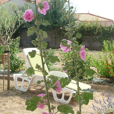 Chambre D'Hote Fleur De Potager Les Sables-dʼOlonne Buitenkant foto