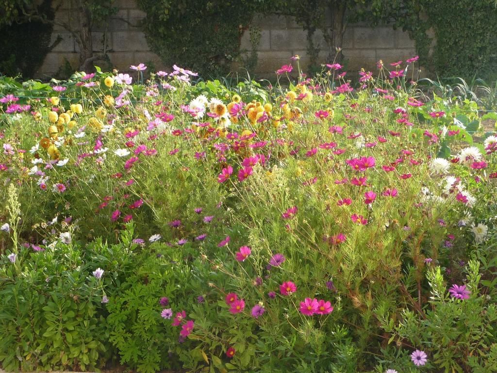 Chambre D'Hote Fleur De Potager Les Sables-dʼOlonne Buitenkant foto
