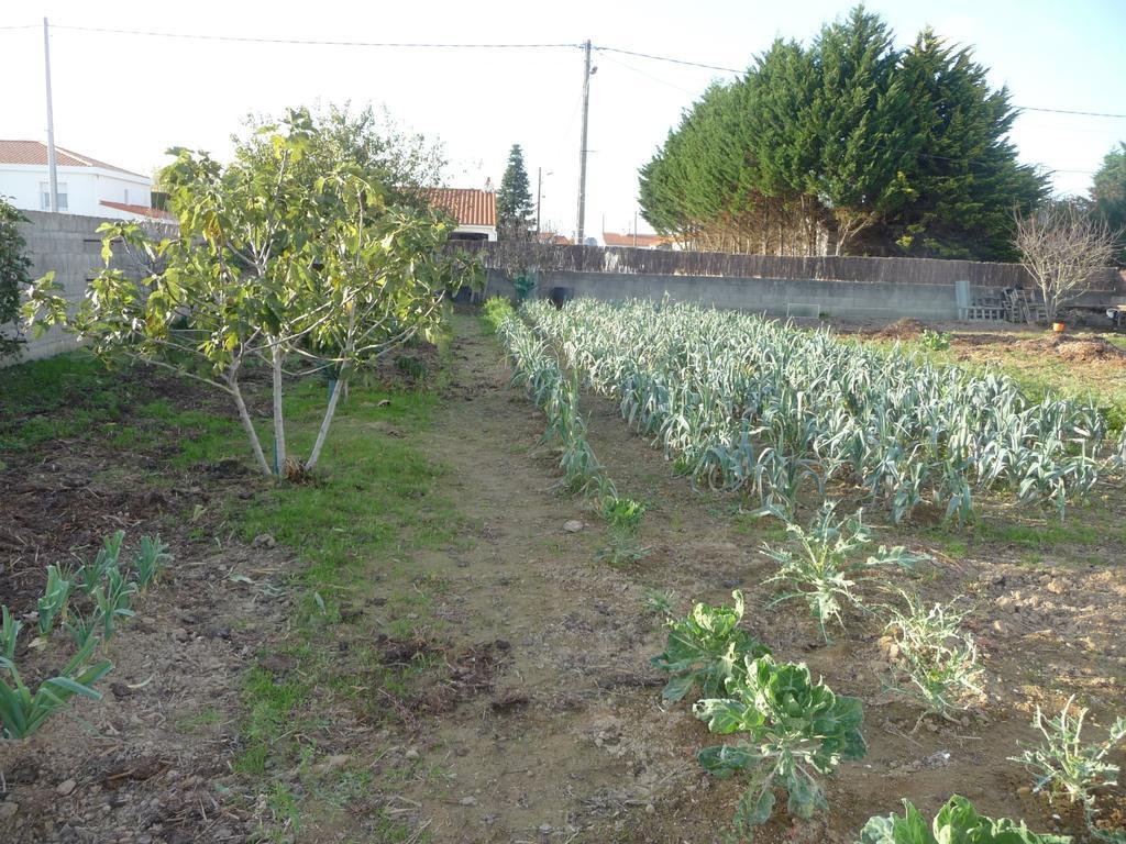 Chambre D'Hote Fleur De Potager Les Sables-dʼOlonne Buitenkant foto