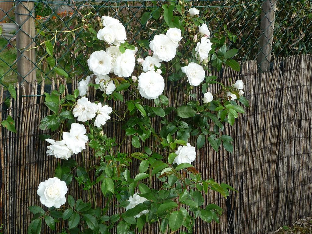 Chambre D'Hote Fleur De Potager Les Sables-dʼOlonne Buitenkant foto