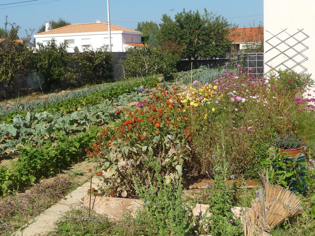 Chambre D'Hote Fleur De Potager Les Sables-dʼOlonne Buitenkant foto