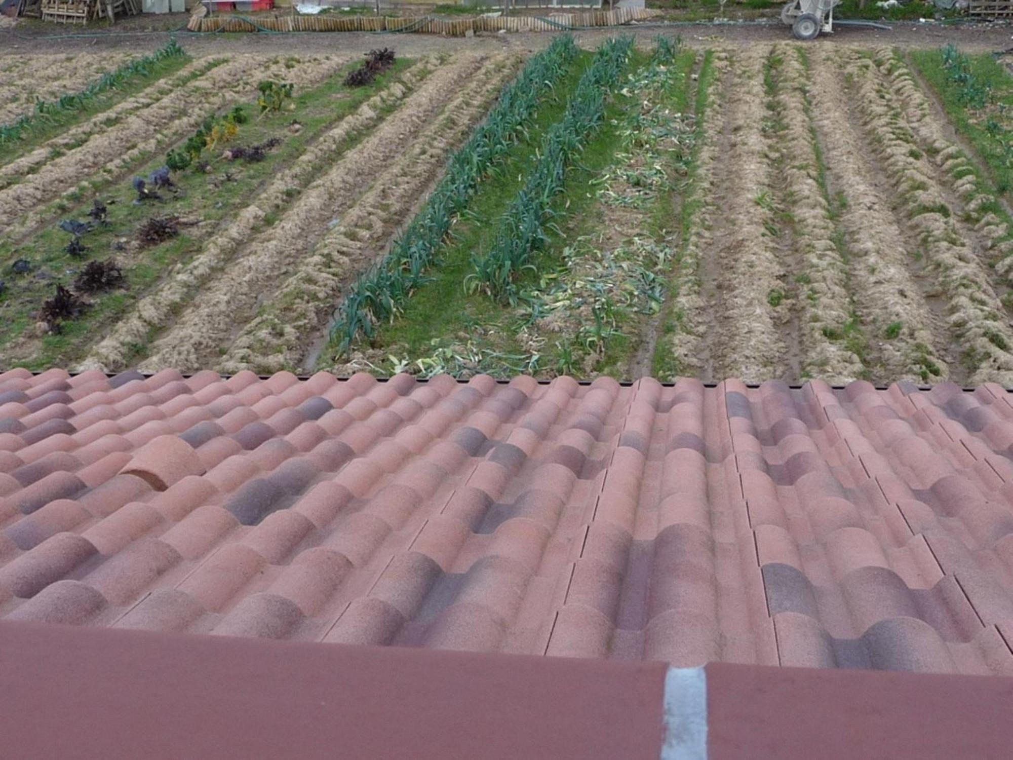 Chambre D'Hote Fleur De Potager Les Sables-dʼOlonne Buitenkant foto